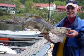 Bj&oslash;rnev&aring;g Ferie - Dorsch Mai 2011