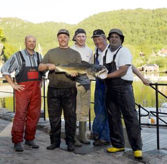 Farsund Resort - kapitaler Dorsch