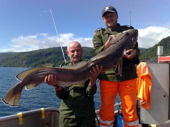 Kjelavik - toller Leng aus dem Fisterfjord