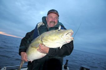Kråkvåg Dorsch 17KG 130cm Kråkvåg Dorsch 17KG 130cm