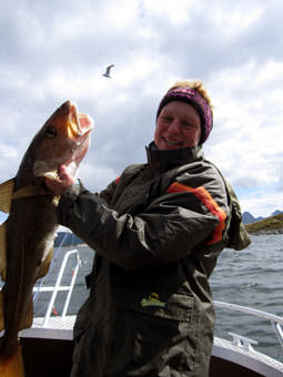 Kvarøy Fisch Kvarøy Fisch