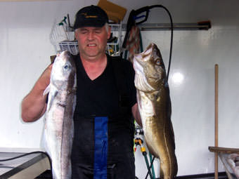Kvernes Schellfisch & Dorsch