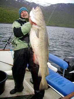 Fette Dorsche in L&aring;van