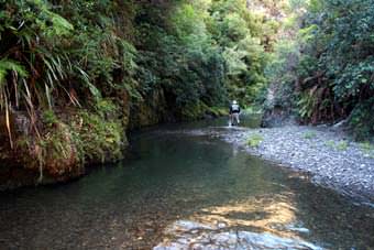 Neuseeland Forellengew�sser