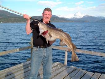 Dorsch von Nesøya Brygge Dorsch von Nesøya Brygge