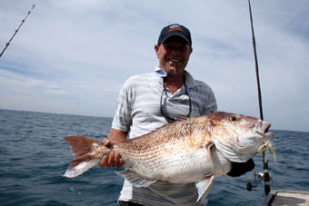 Neuseeland 12kg Snapper