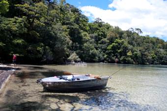 Neuseeland Lost Paradise