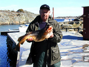 Skottevik Feriesenter Dorsch