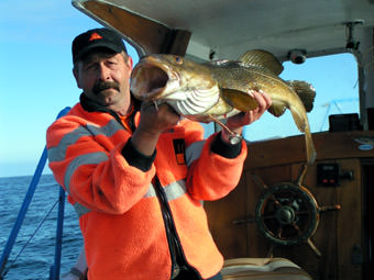Skottevik Feriesenter - Guide Wolfgang mit sch&ouml;nem Dorsch