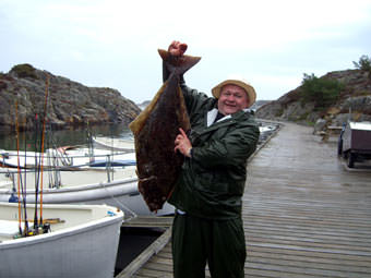 Skottevik Heilbutt 12,7 Kg Skottevik Heilbutt 12,7 Kg