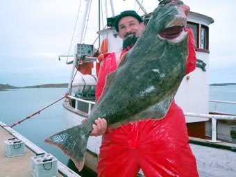 Sm&oslash;la Havfiskesenter - Heilbutt 28 Kg