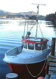 Solvag Fjordferie - Angelboot Bru 25,6ft, 20 PS Diesel-Kabinenboot
