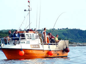 Solvag Fjordferie - Angelboot Hjelmeland 22,6ft, 20 PS Diesel-Kabinenboot
