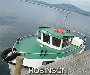 Solvag Fjordferie - Angelboot Robinson 24,2ft, 20 PS Diesel-Kabinenboot