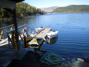 Ferienhaus Fjordholt - Steg