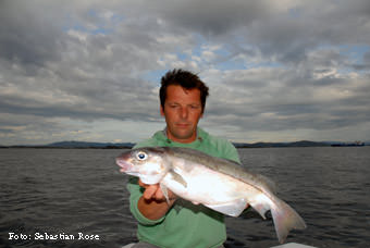 Svanholmbua Sebastian mit sch&ouml;nem Schellfisch