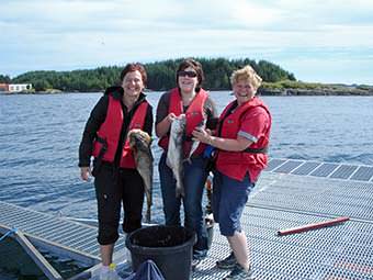 Angelreisen f�r Frauen 2014