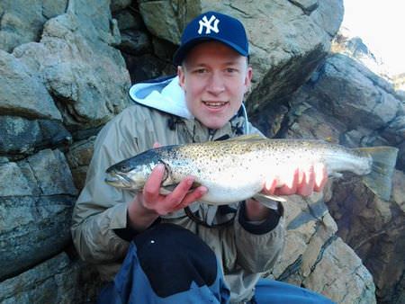 Skofteviga Fisch Skofteviga Fisch