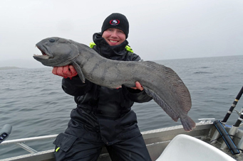 Xlyngen Service