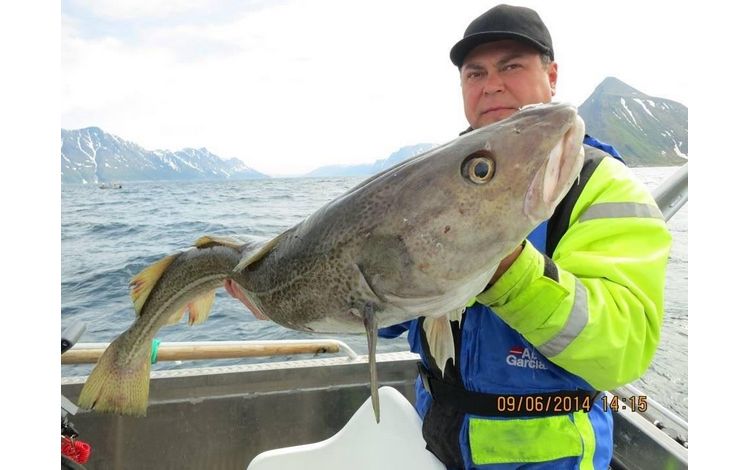 Nordnorwegen Arctic Nusvag  Fangerfolge 