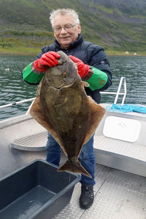 Nordnorwegen Arctic Nusvag  Fangerfolge 