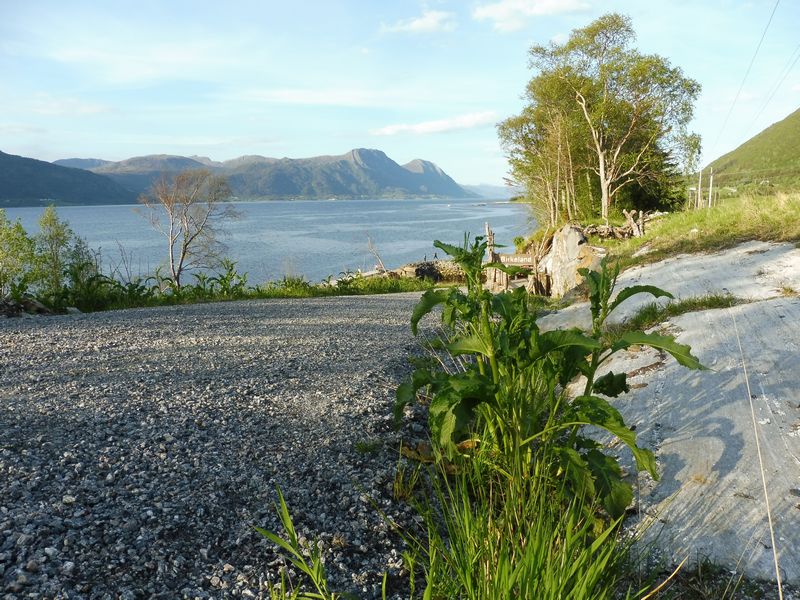 Fiskesenter Birkeland Unterkunft 