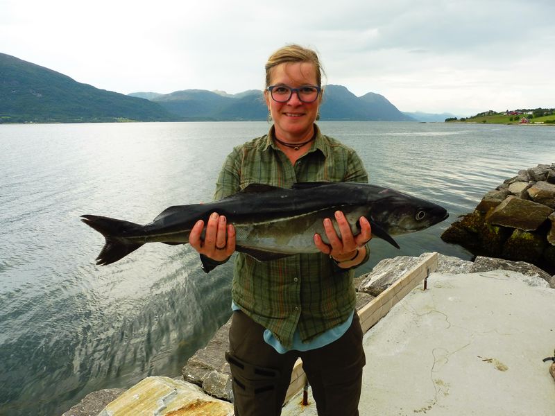 Fiskesenter Birkeland Fangerfolge 