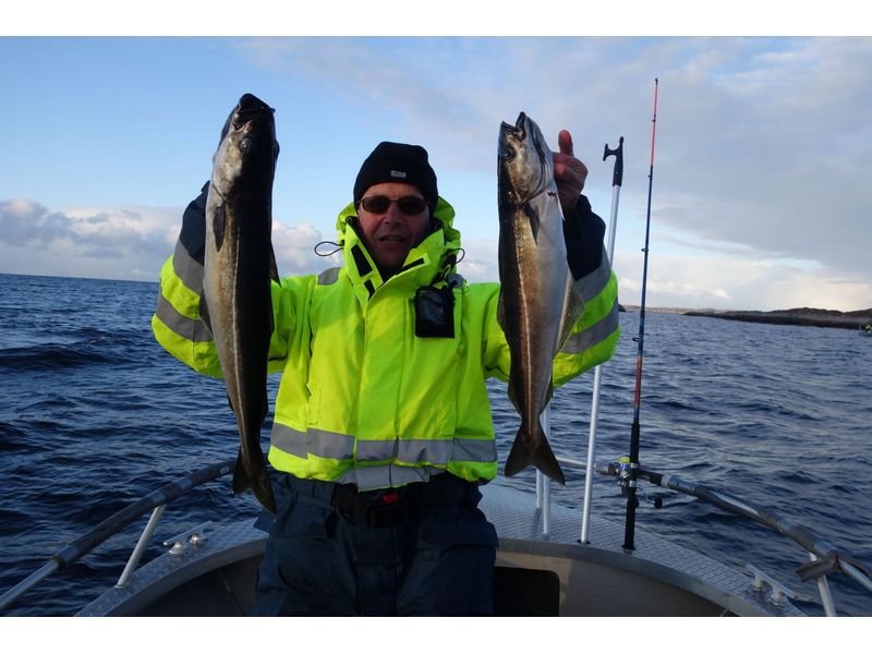 Heggesvik Hitra Fisch 