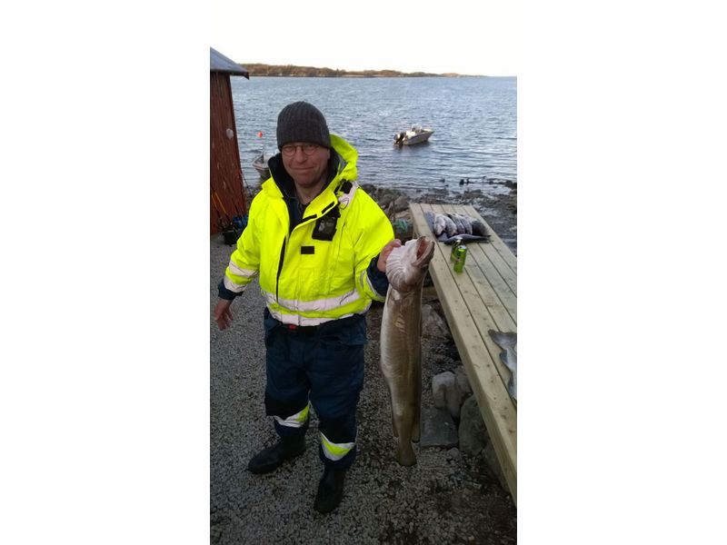 Heggesvik Hitra Fisch 