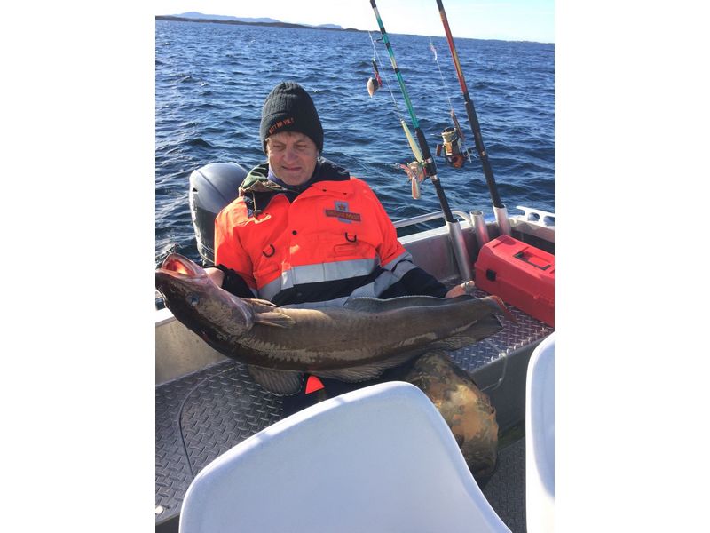 Heggesvik Hitra Fisch 