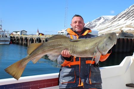 Westfjorde Fangerfolge 