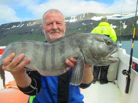 Westfjorde Fangerfolge 