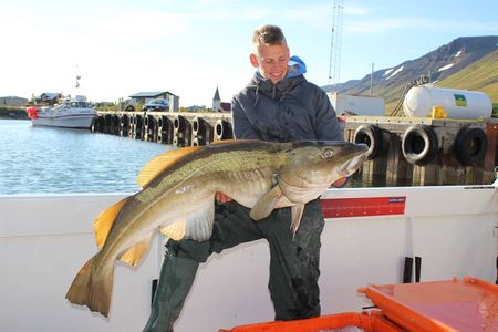 Westfjorde Fangerfolge 