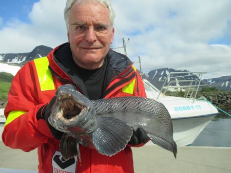 Westfjorde Fangerfolge 