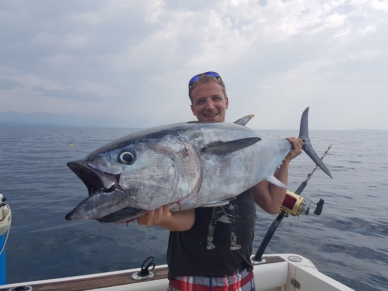 Kroatien Fischbilder  