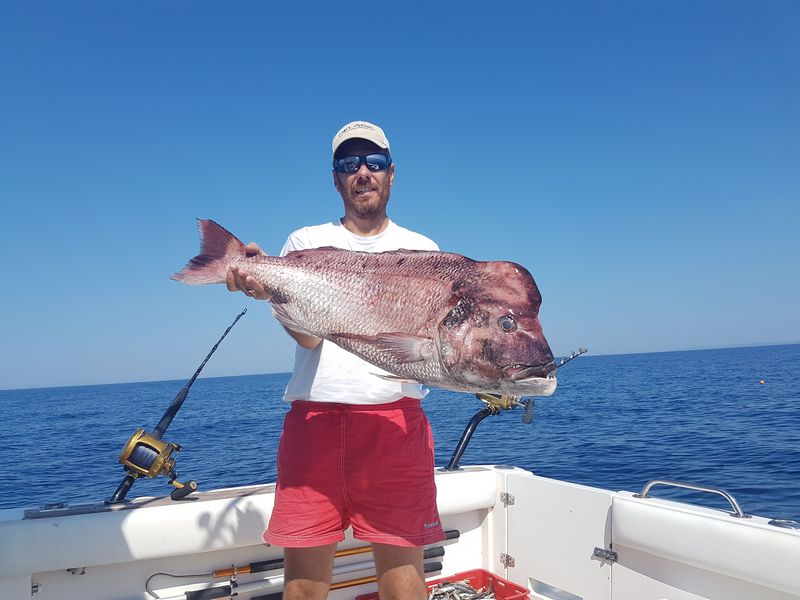 Kroatien Fischbilder Neu2017 0006