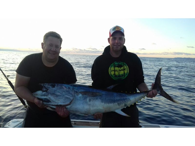 Kroatien Fischbilder Neu2017 0007