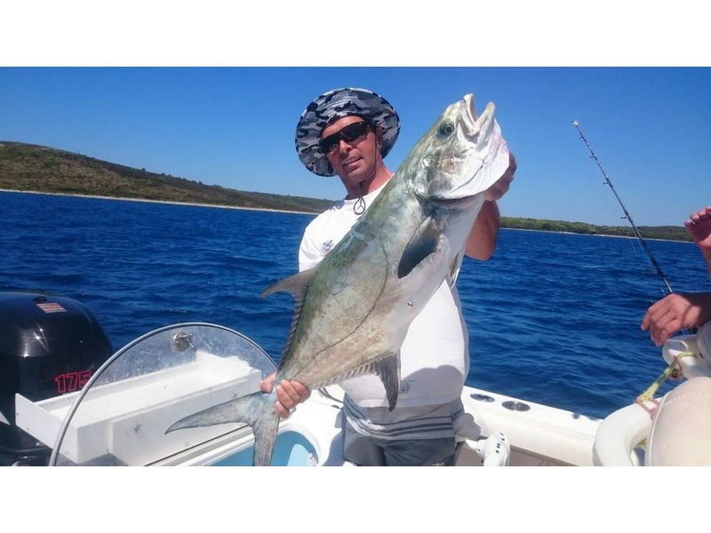 Kroatien Fischbilder Neu2017 0008
