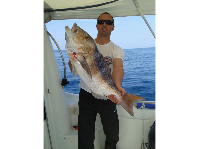 Kroatien Fischbilder Neu2017 0010