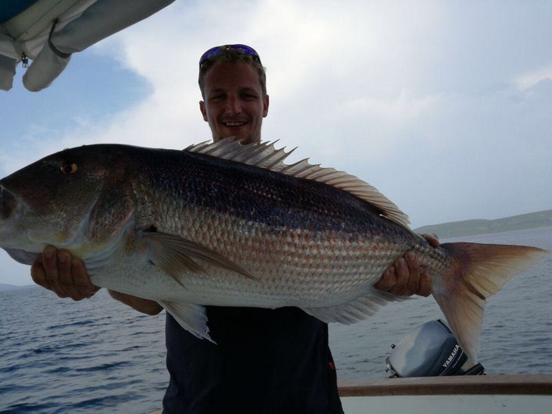 Kroatien Fischbilder Neu2017 0014