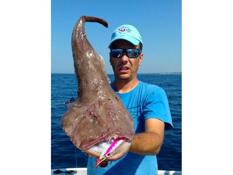 Kroatien Fischbilder Neu2017 0016