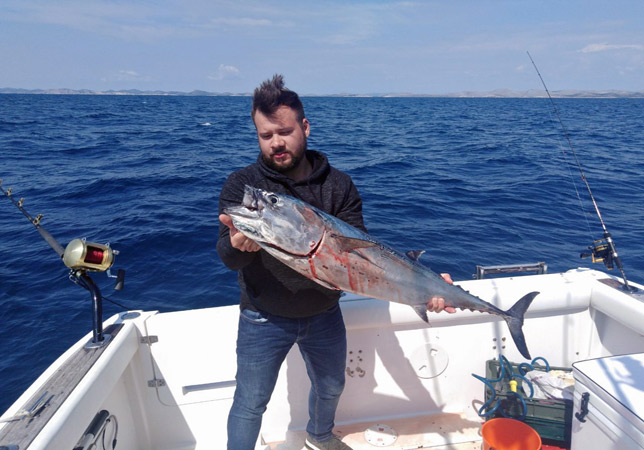 Kroatien Fischbilder Neu 