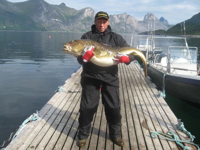 Mefjord Brygge Fangerfolge