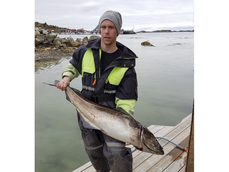 Meloy Skjaergardsferie Fangerfolge 