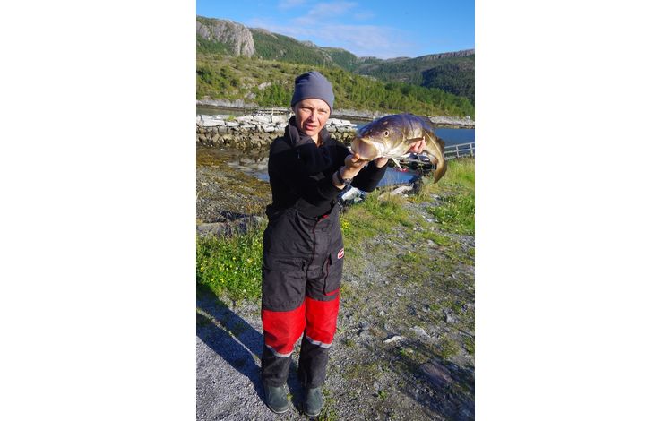 Mittelnorwegen Fosen Gard Fangerfolge Neu 