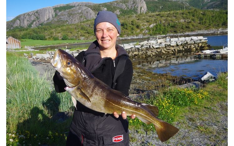 Mittelnorwegen Fosen Gard Fangerfolge  