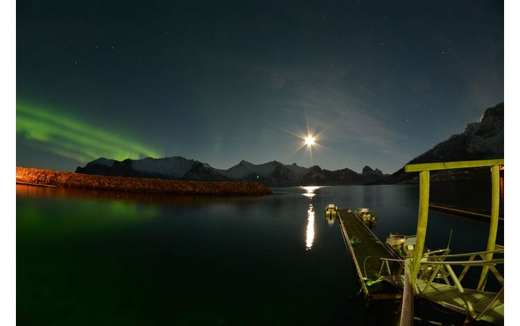 Mefjord Brygge Unterkunft Northern Light Apartments0002