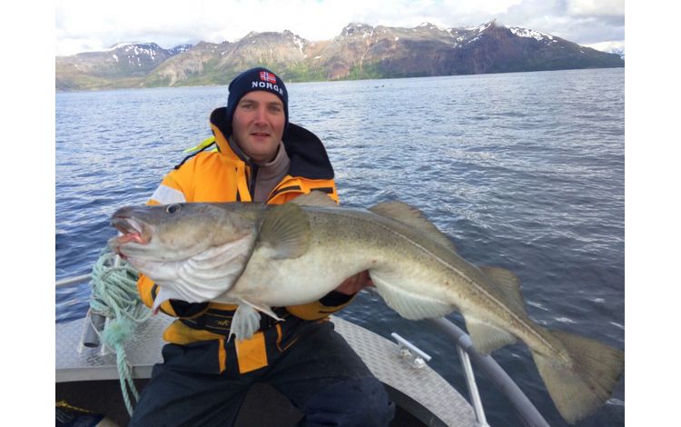 Nordnorwegen Lyngen Fangerfolge 0001