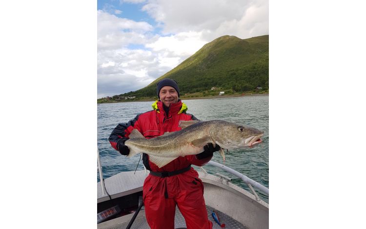 Nordnorwegen Lyngen Fangerfolge 0002