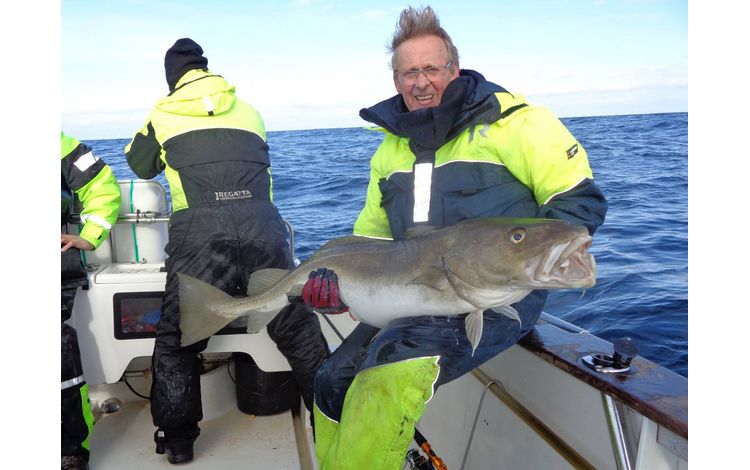 Nordnorwegen Torsvag Fangerfolge 